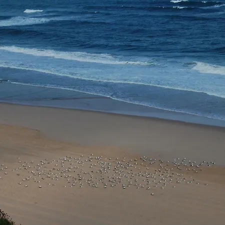 Villa Santa Cruz Ocean View